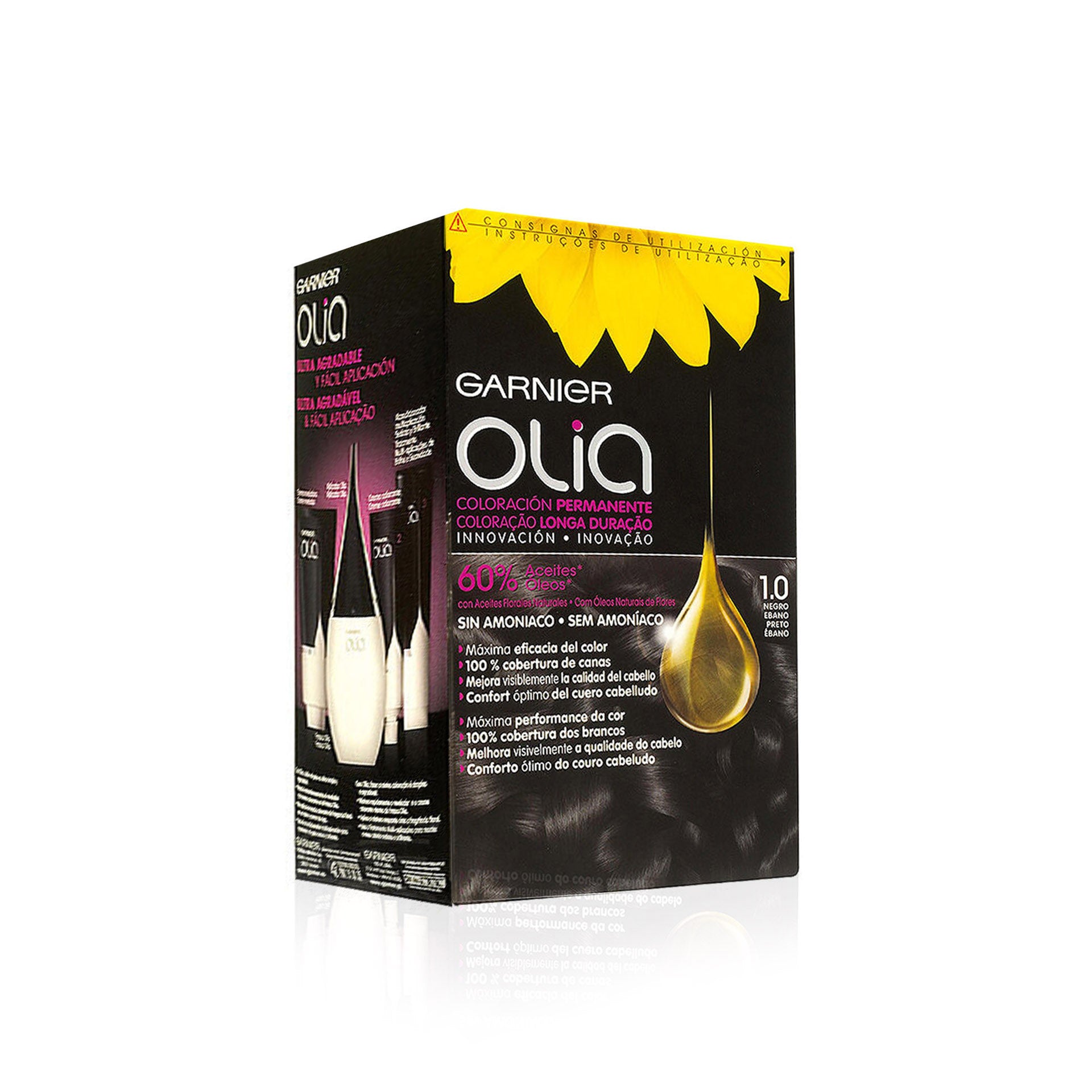 Garnier Olia Black Permanent Painting Ébano 1.0