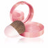Bourjois Little Round Pot Blusher Powder 