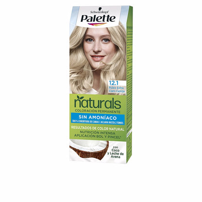 Palette Natural Dye 