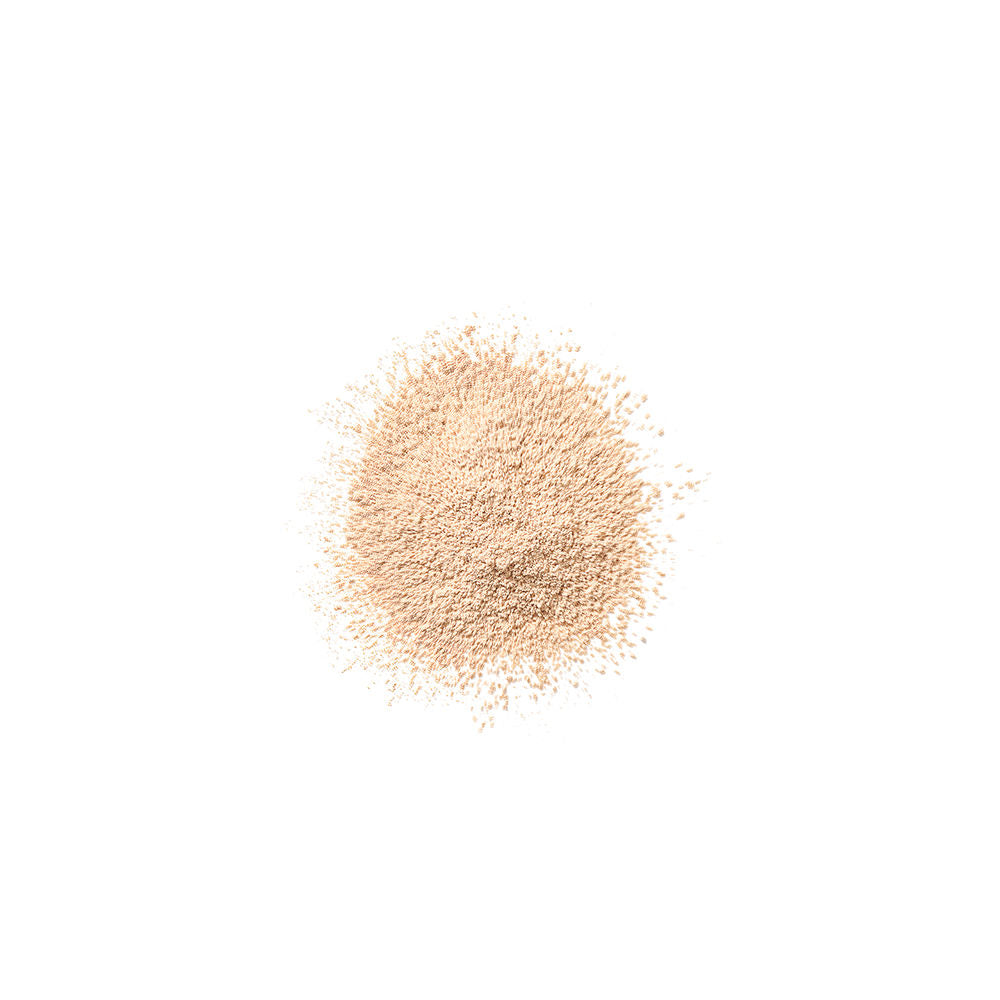 Clinique Blended Face Powder 