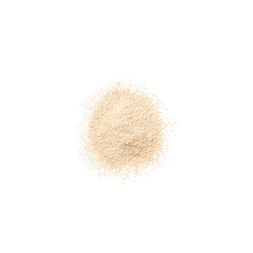 Clinique Blended Face Powder 