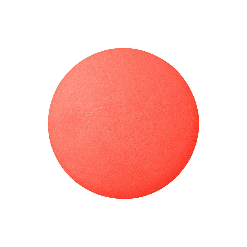 Bourjois Little Round Pot Blusher Powder 