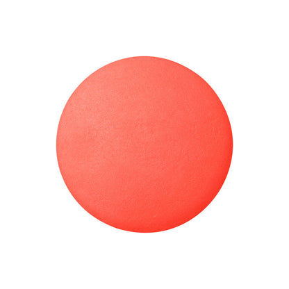Bourjois Little Round Pot Blusher Powder 
