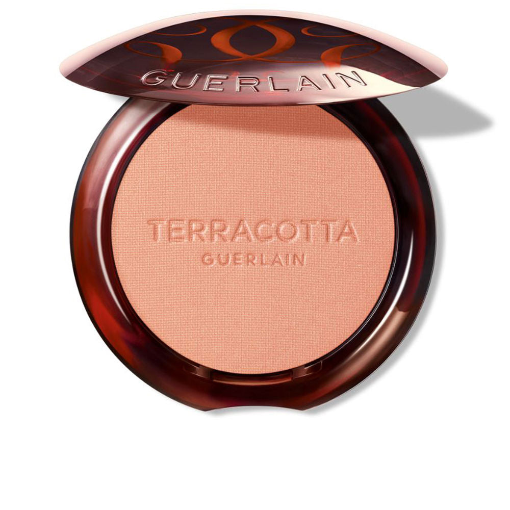 Guerlain Terracotta Blush Blush for a Healthy Look 