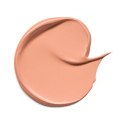 Essence Camouflage+ Matt Waterproof Concealer 