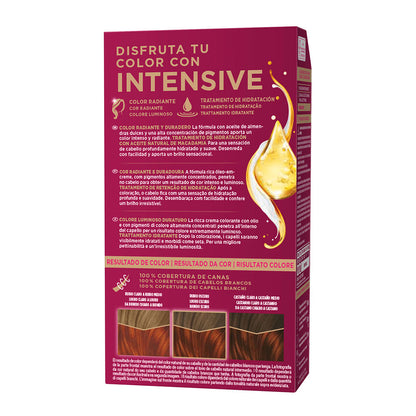 Palette Intensive Dye 