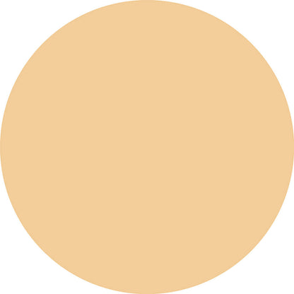 Catrice CC Skin Perfector Corrective Cream 30 ml