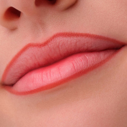 Catrice Precision Ink Lip Liner Ink Effect 