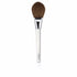 Clinique Brush Powder Foundation 1 Pz