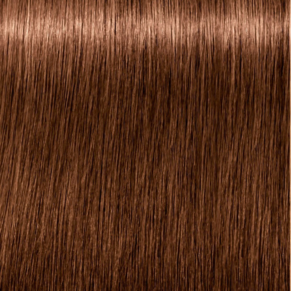 Schwarzkopf Igora Royal 