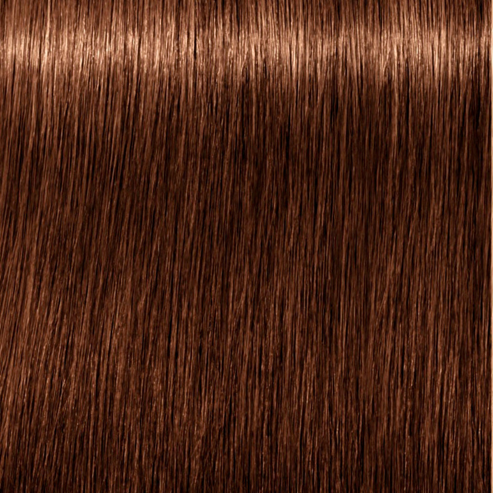 Schwarzkopf Igora Royal Absolutes 